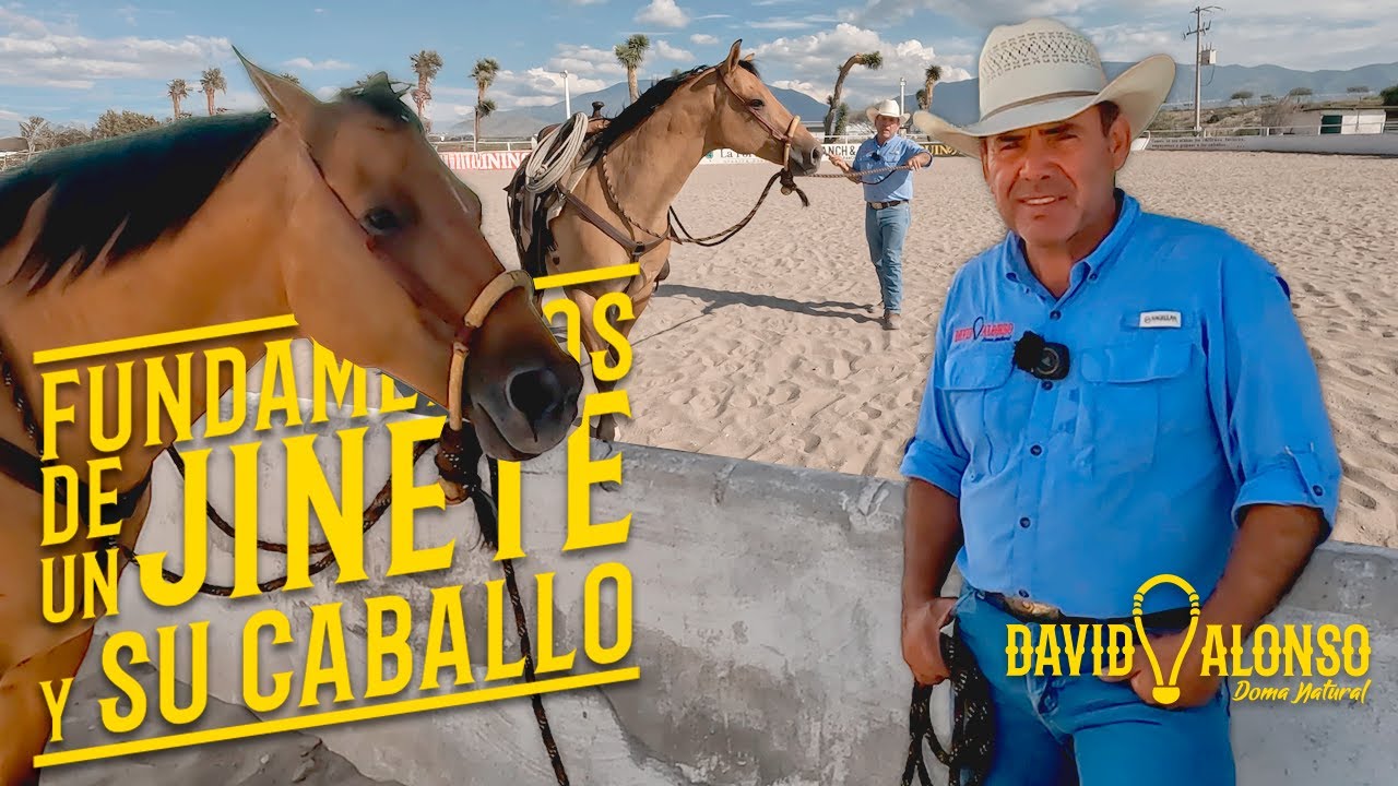 Fundamentos de un Jinete y su Caballo