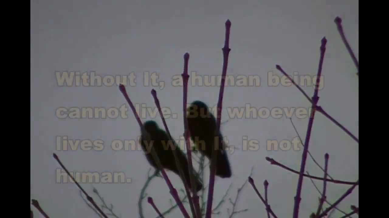 Martin Buber: Towards fuller relationships