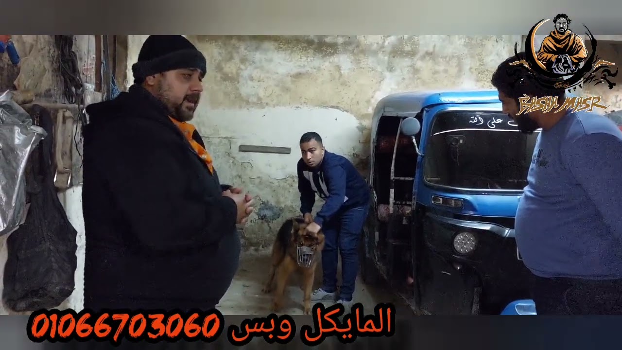 #روحنا #نجرب كلب قالى #محدش يعرف يلمسه ابدا #الكلب نام وساب الجراج