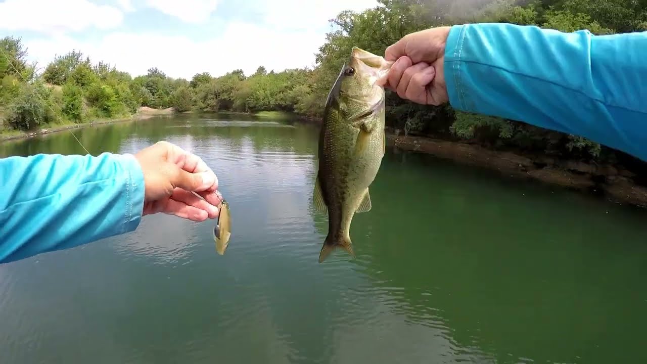 MegaBass Spark Shad, возможно, лучшая мягкая приманка для джеркбейта SwimBait после того, как она...