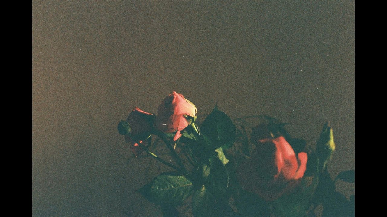 Tamia - Vardebi