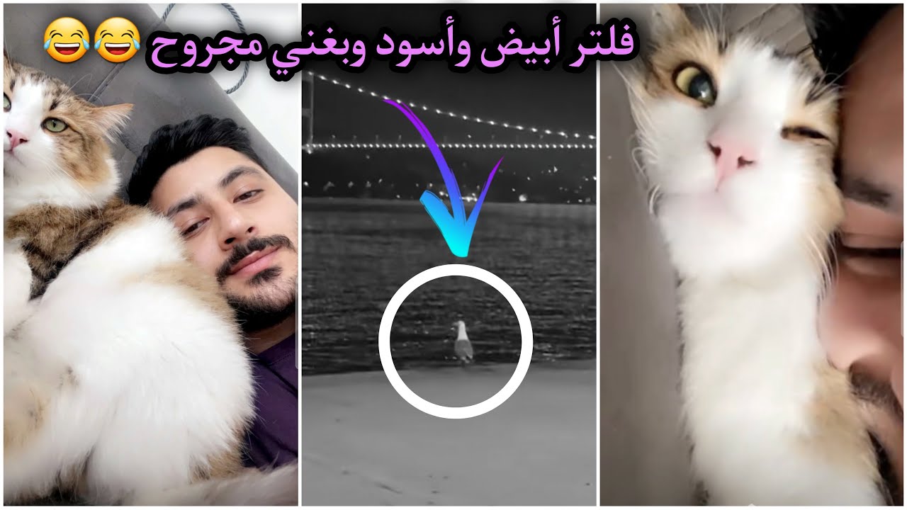 لقاء بعد غياب😂 - الحناوي