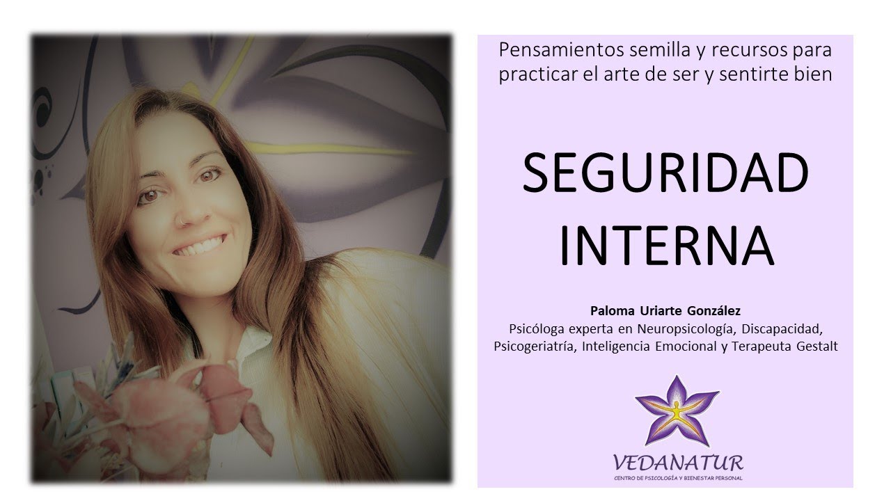 Seguridad interna