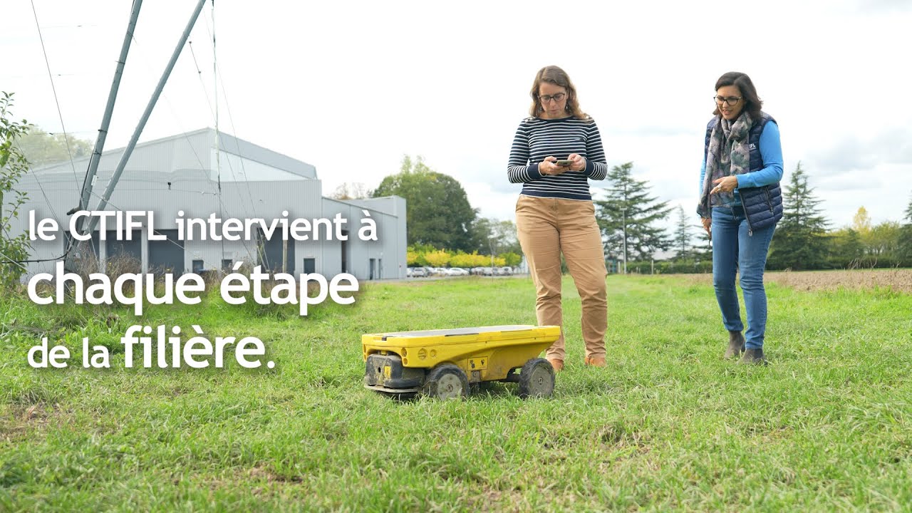 🍒Robot, mur de vent, haie fruitière… l’agriculture du futur se prépare en Bergeracois avec le CTIFL