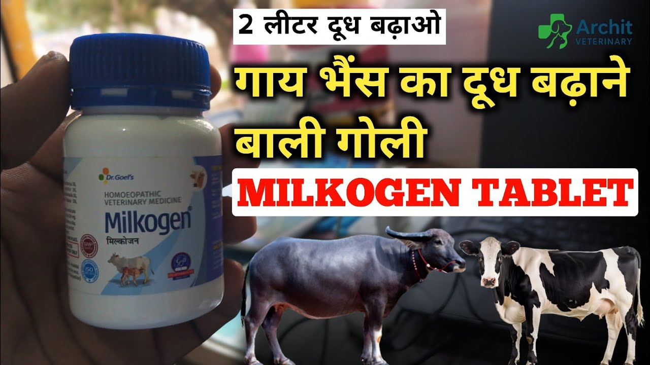 पशुओं का दूध बढ़ाने वाली गोली। How to use Milkogen tablet. इसके फायदे व उपयोग। Archit Veterinary.