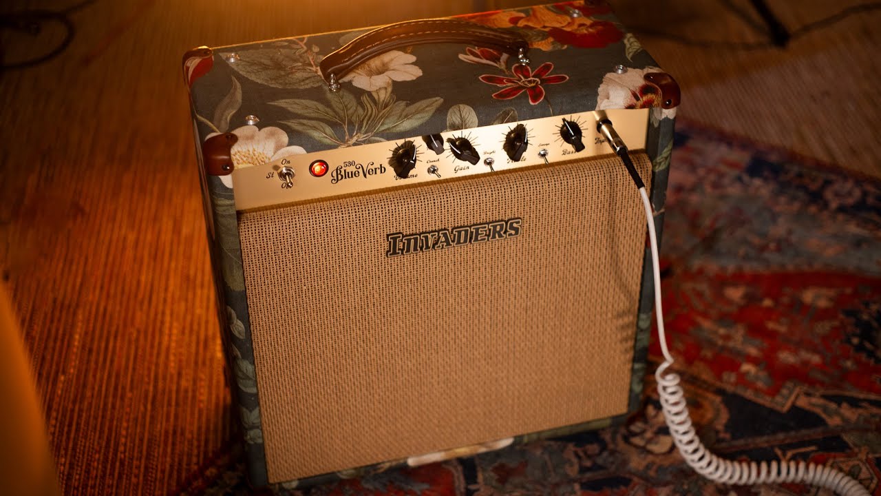 My new amp - INVADERS BLUEVERB 530 handmade!