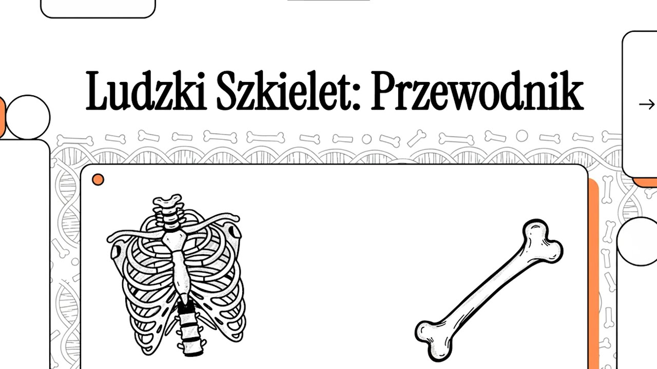 Student Pielęgniarstwa - Oś i szkielet | Anatomia