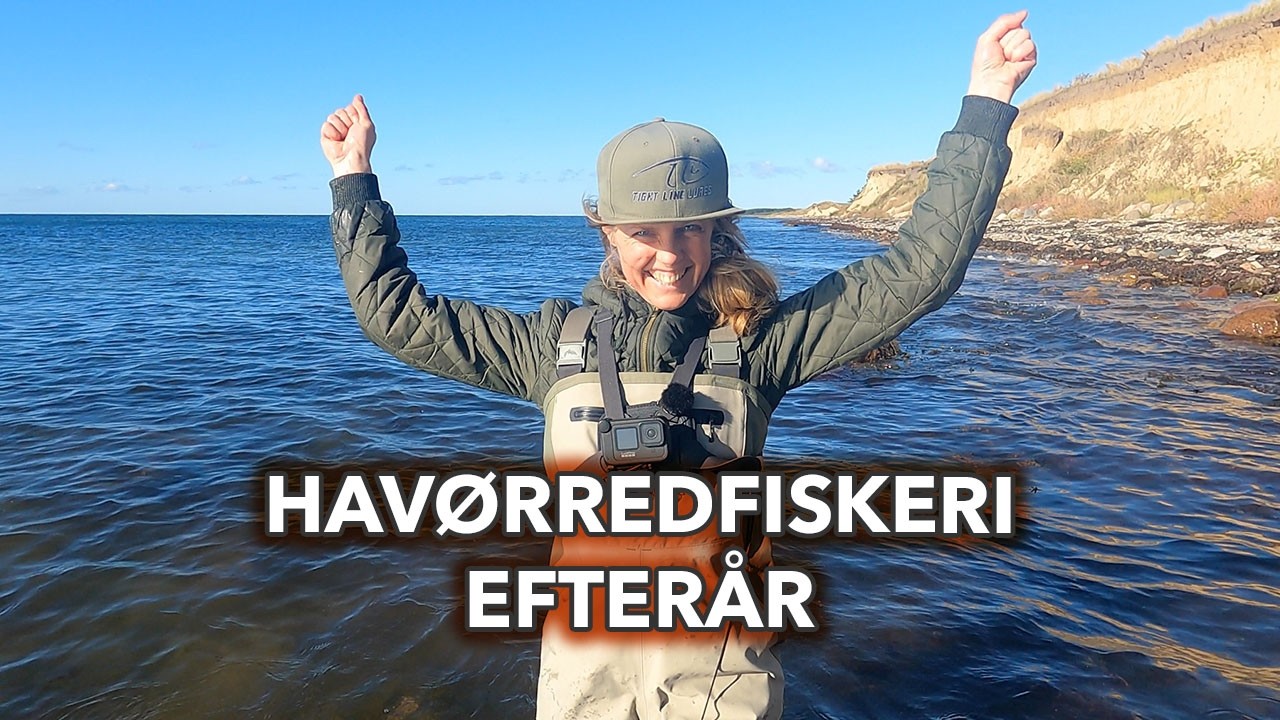 Havørredfiskeri efteraar! Kan vi fange en havørred med lidt størelse på?