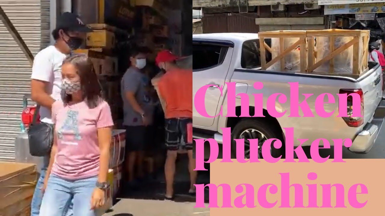 Bumili kami ng Chicken plucker machine: Dressed chicken Business: part 1:7
