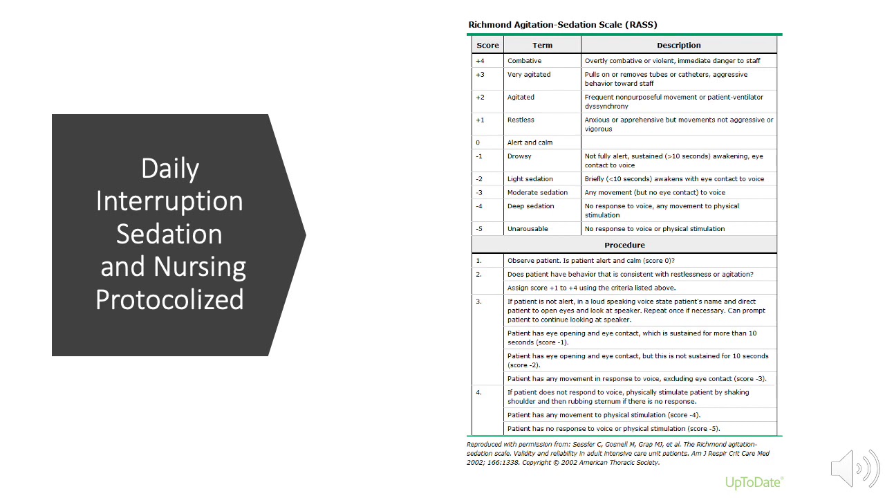 Daily Care in the ICU: Care Bundles and Prevention of Complications
