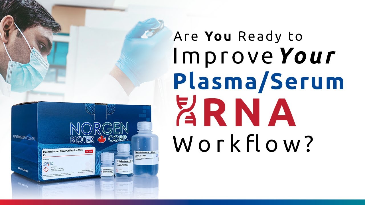 Plasma/Serum RNA Purification Mini Kit | Cat. 55000