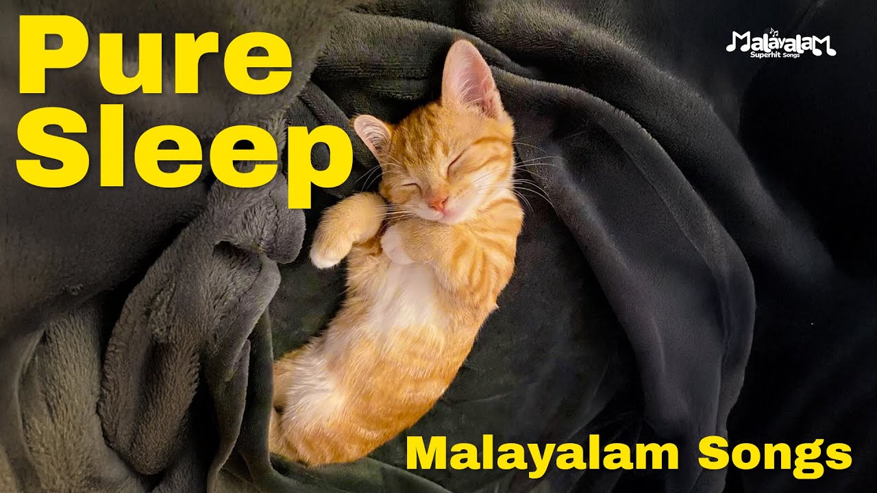 Best Sleeping Songs - Malayalam💊😴 | സമാധാനമായി ഉറങ്ങു | Malayalam Sleeping Pills ✨
