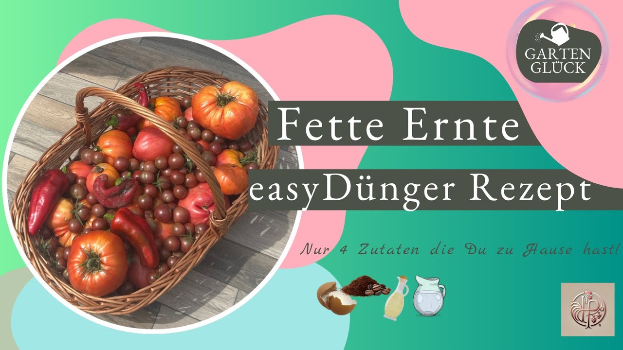 Küchenabfall wird Turbo-Dünger 🌱 | Eierschalen & Kaffee für starke Tomaten & Rosen