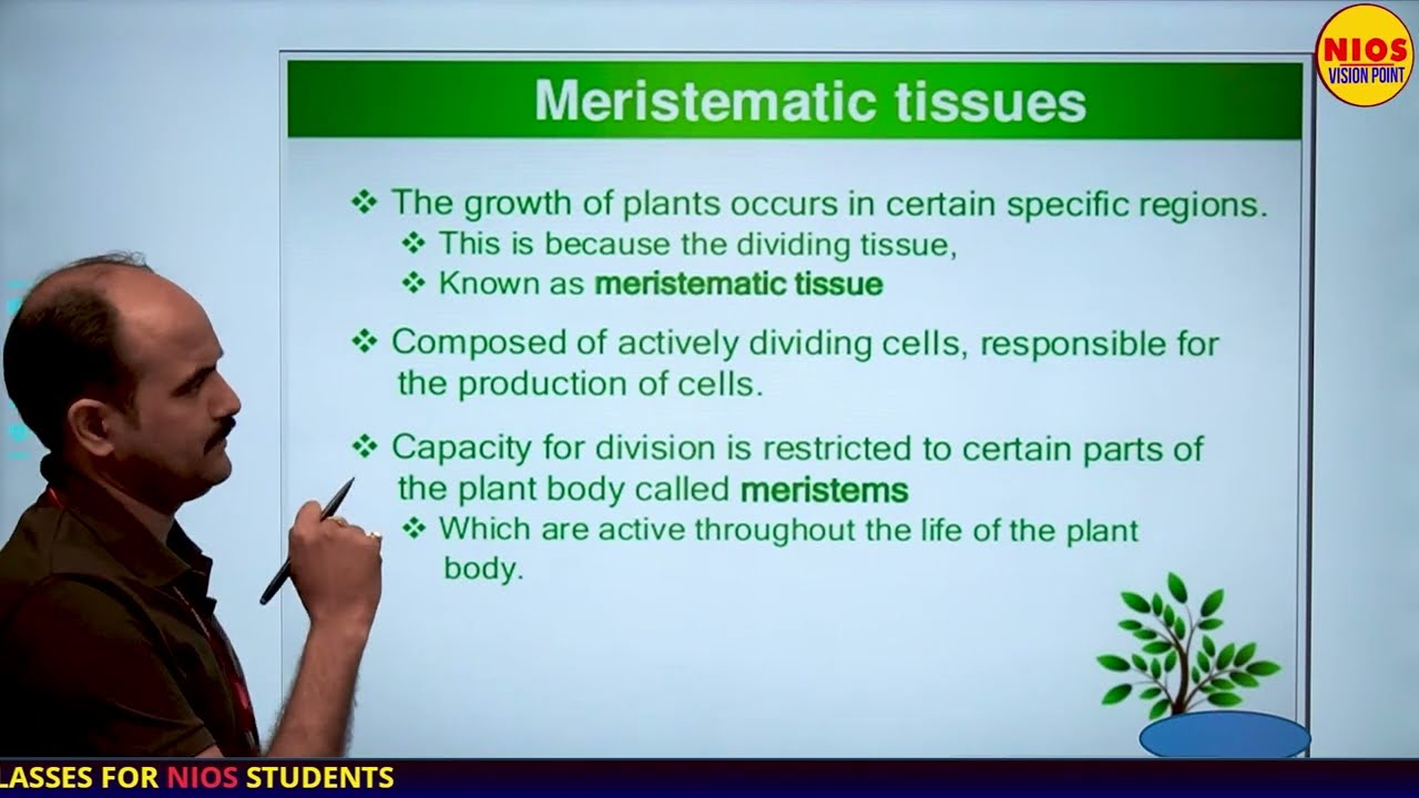 Tissue and Levels of Organization | Lec 1 | Chapter 3