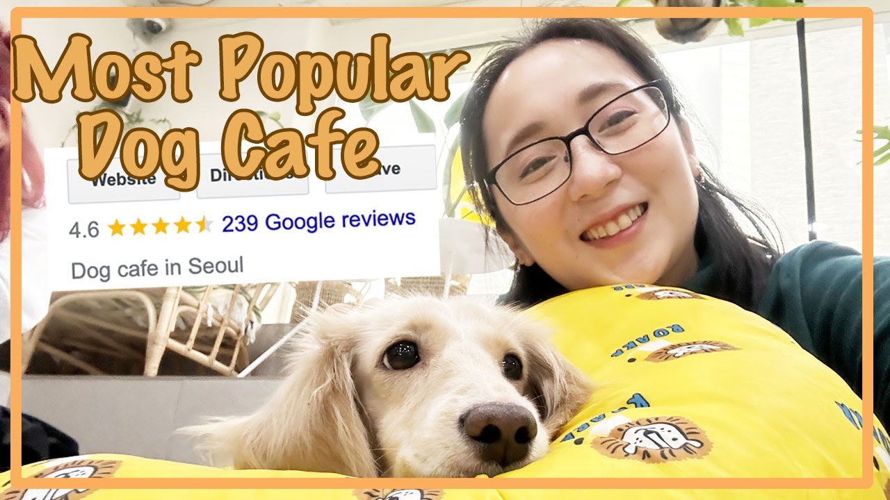 Highly-rated Dog Cafe Experience in Seoul 🇰🇷 | Korea Vlog 9