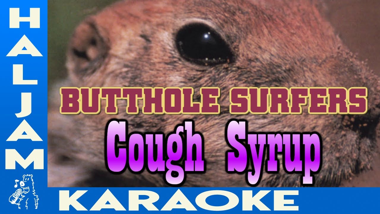 Butthole Surfers - Cough Syrup (karaoke)