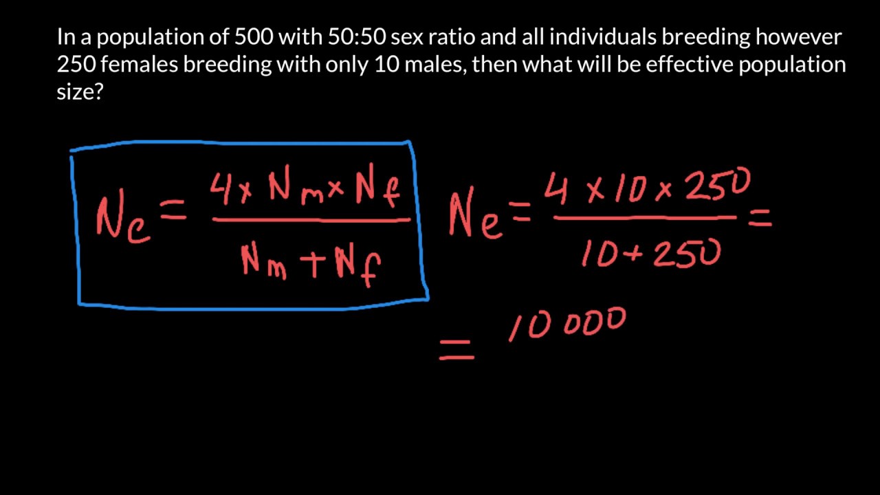 How to Calculate Effective Population Size