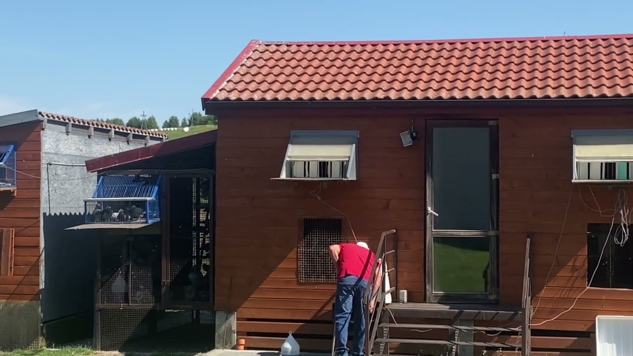 Krótki lot ale ciężki🕊️