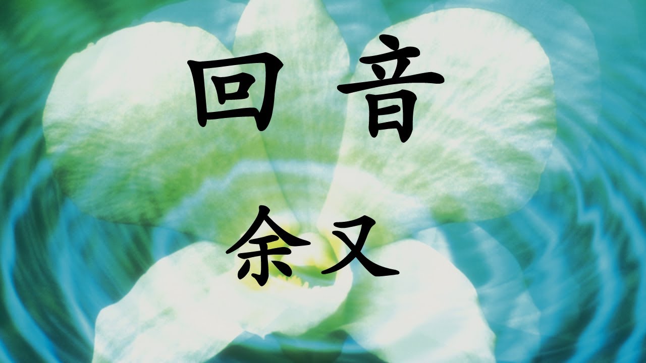 回音 / 余又 / 歌词 / 拼音 / pīnyīn / 韩语歌词 / Lyrics / 最新歌曲 / 메아리 / 위요우 / 가사 / 병음 / 해석 / 최신중국노래
