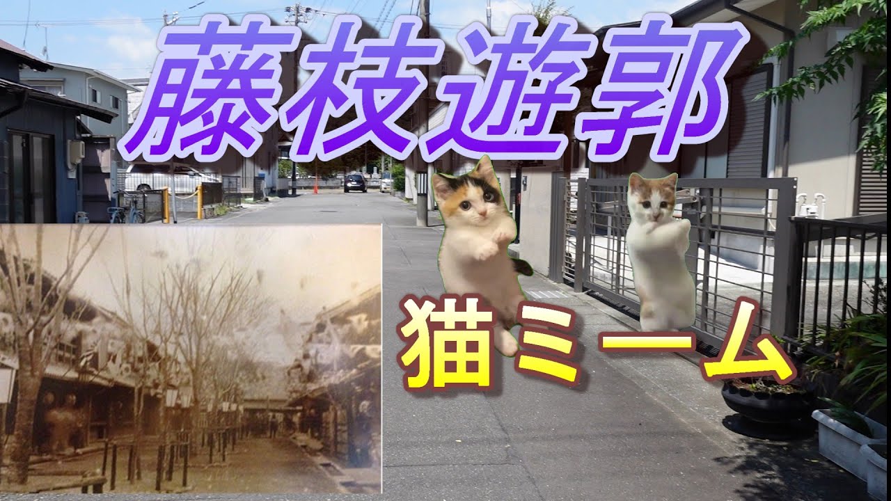 赤線遊郭探訪３８　藤枝遊郭　【猫ミーム】