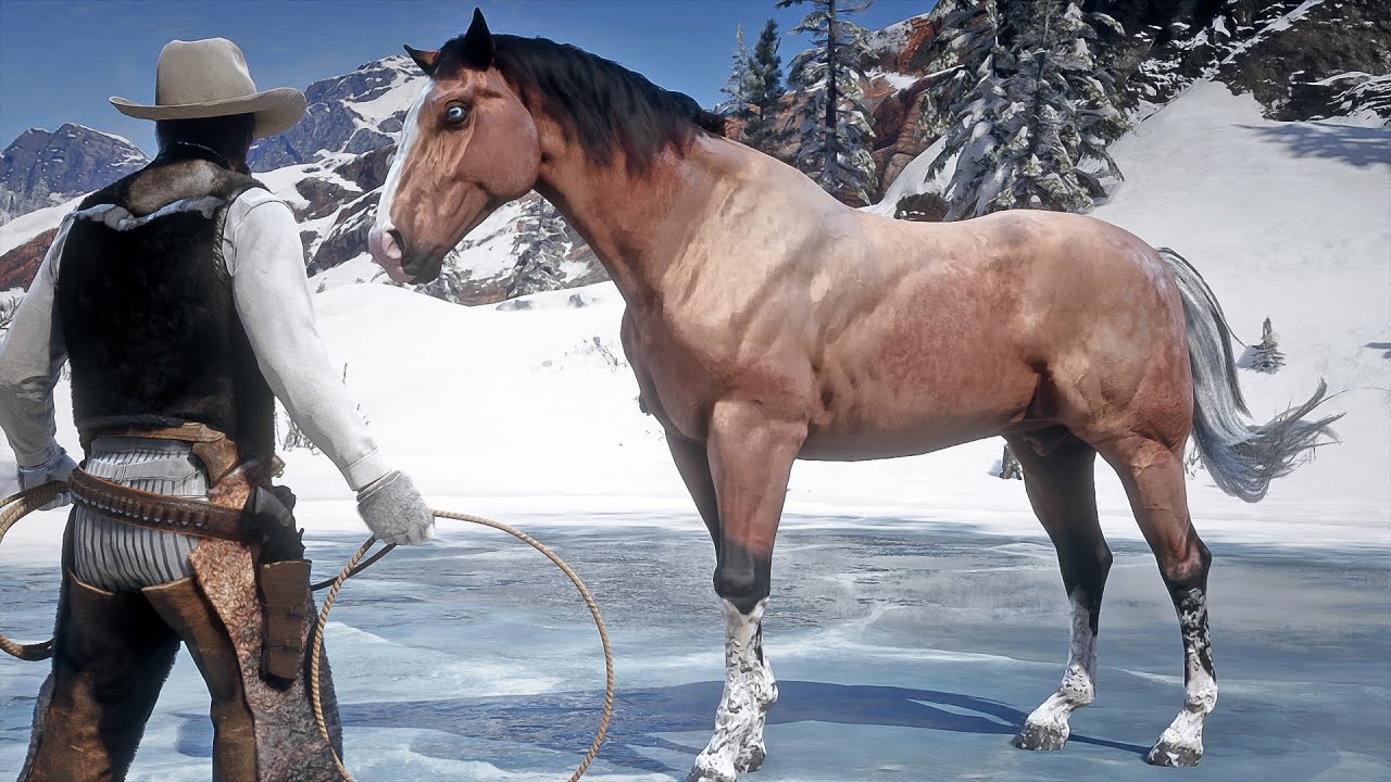 John Marston Tames Beautiful Sean's Horse at Cairn Lake | RDR2