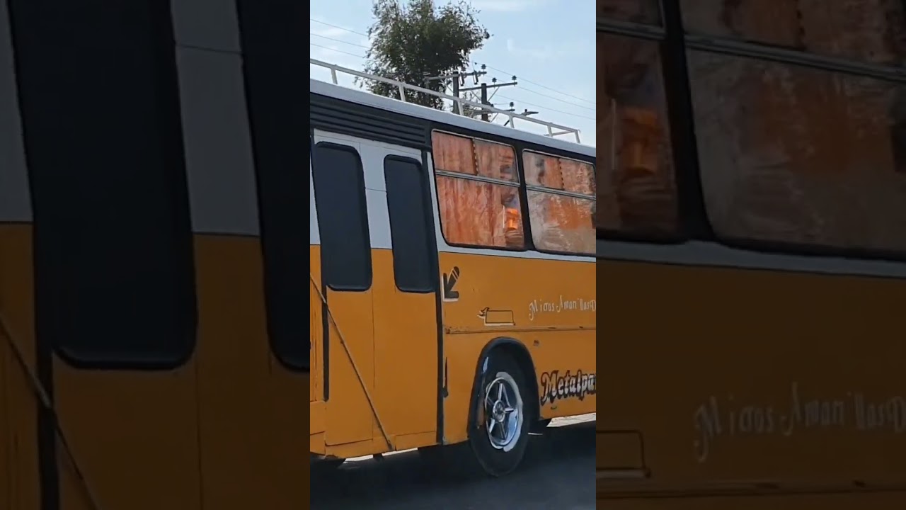 micros amarillas 🚦🚌🚍