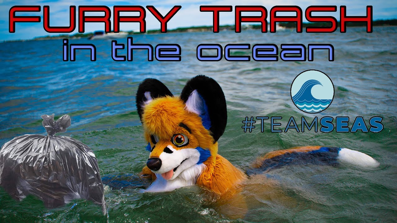 There's (furry) TRASH in my OCEAN! #TEAMSEAS