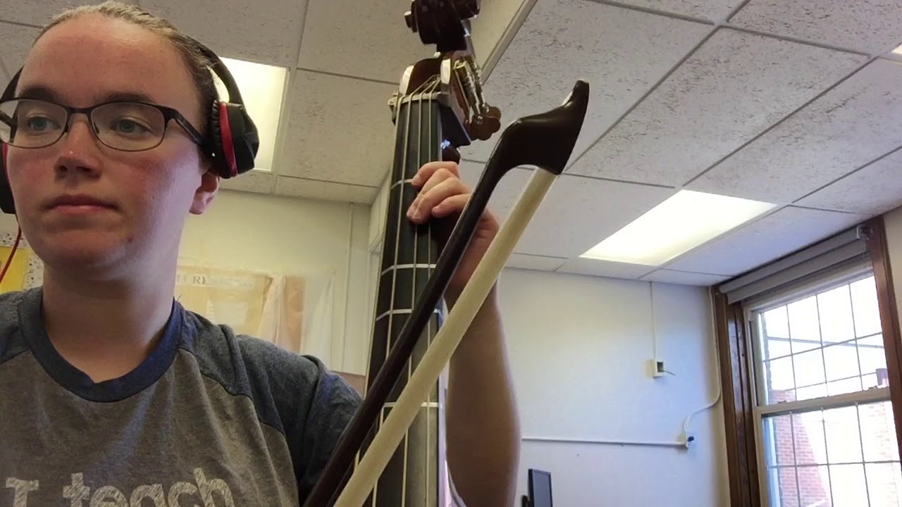 Viking- Bass
