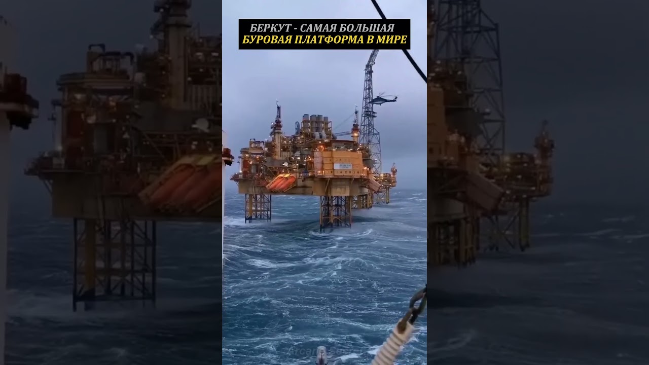 Беркут самая большая нефтедобывающая буровая платформа в мире