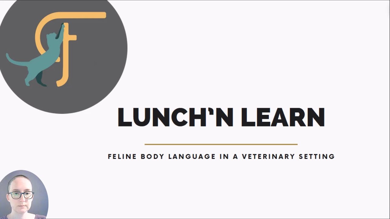 Lunch'n Learn #2 - Feline body language in a veterinary setting