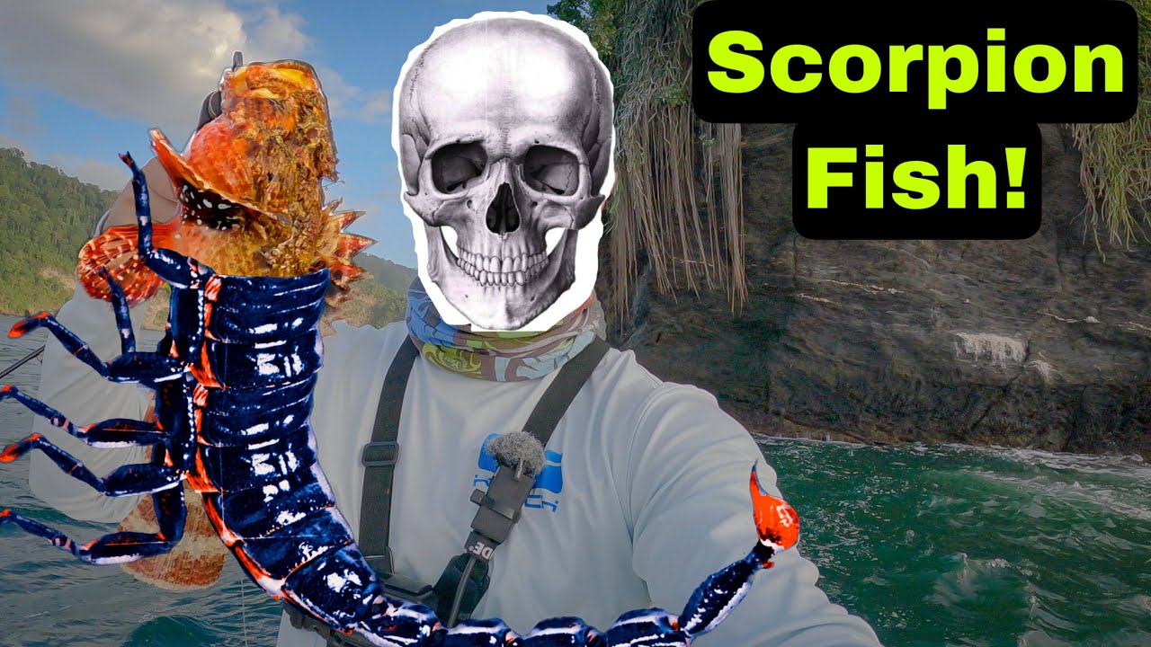 THIS FISH IS DEADLY! - Fishing Trinidad and Tobago