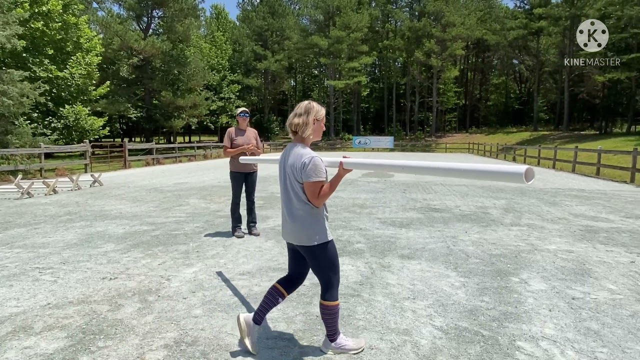 On the Forehand: A Visual Example of a Horse’s Balance