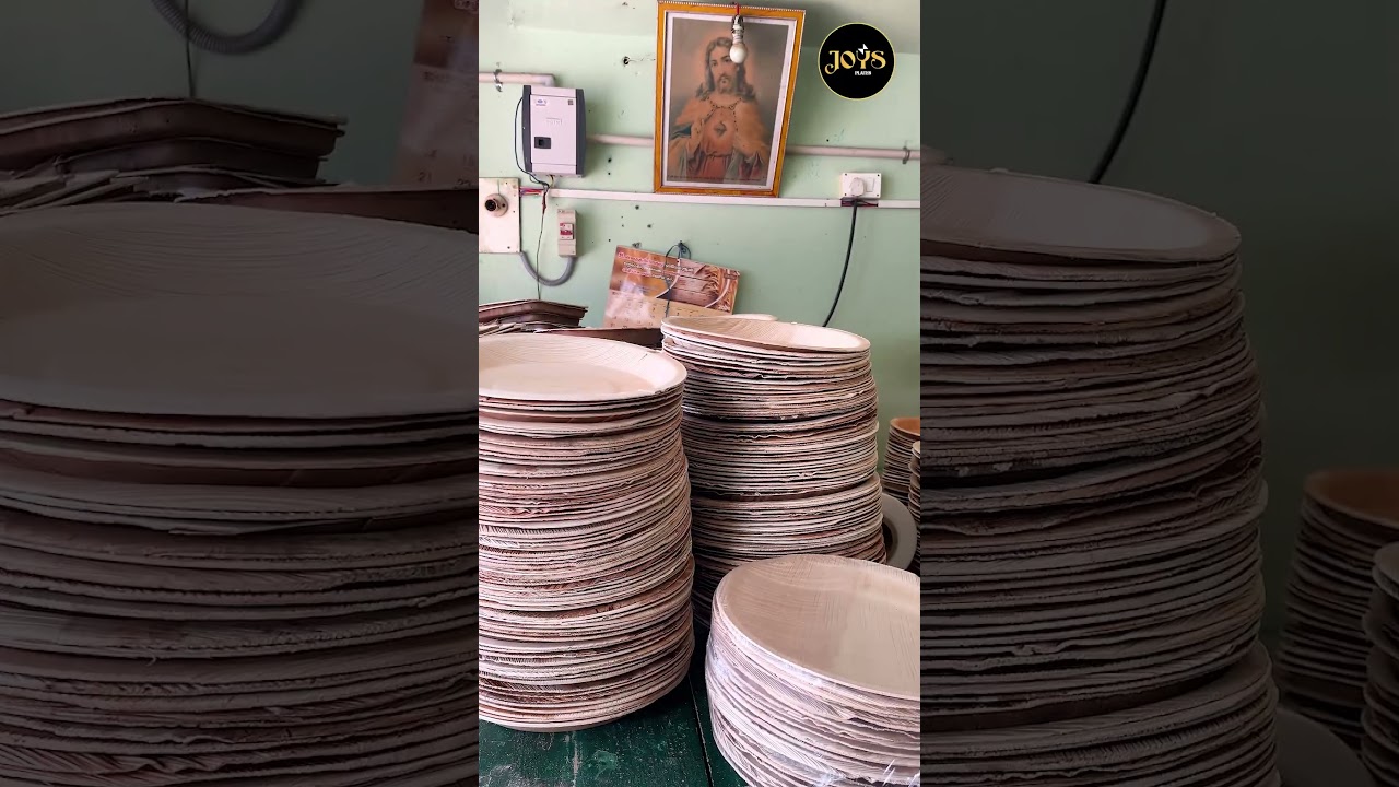 PLATES FOR SALE #arecaleafplate #food #streetfood #areca #business #wholesale #plates #kitchen