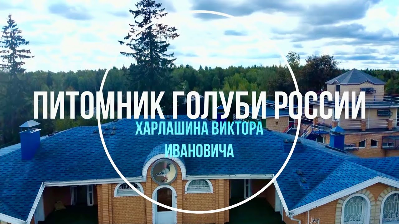 САМЫЙ БОЛЬШОЙ ПИТОМНИК ГОЛУБЕЙ КОТОРЫЙ Я ВИДЕЛ. Бакинцы,Ленинаканцы,Николаевские,Чайки,Монахи и тд..