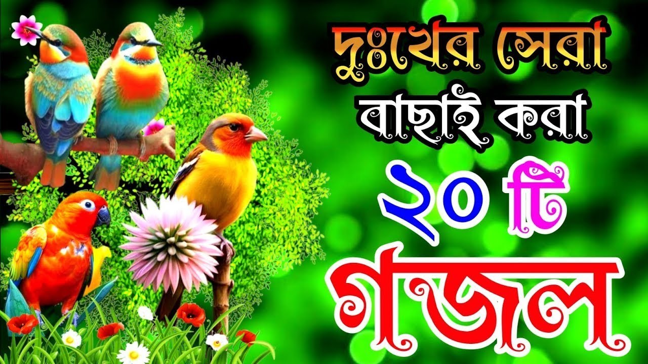 দুঃখের সেরা হৃদয় ছোঁয়া ৩৮টি গজল |বাংলা বাছাইকৃত গজল |Selected Gajal |New Best Gazal |Bangla Gojol 