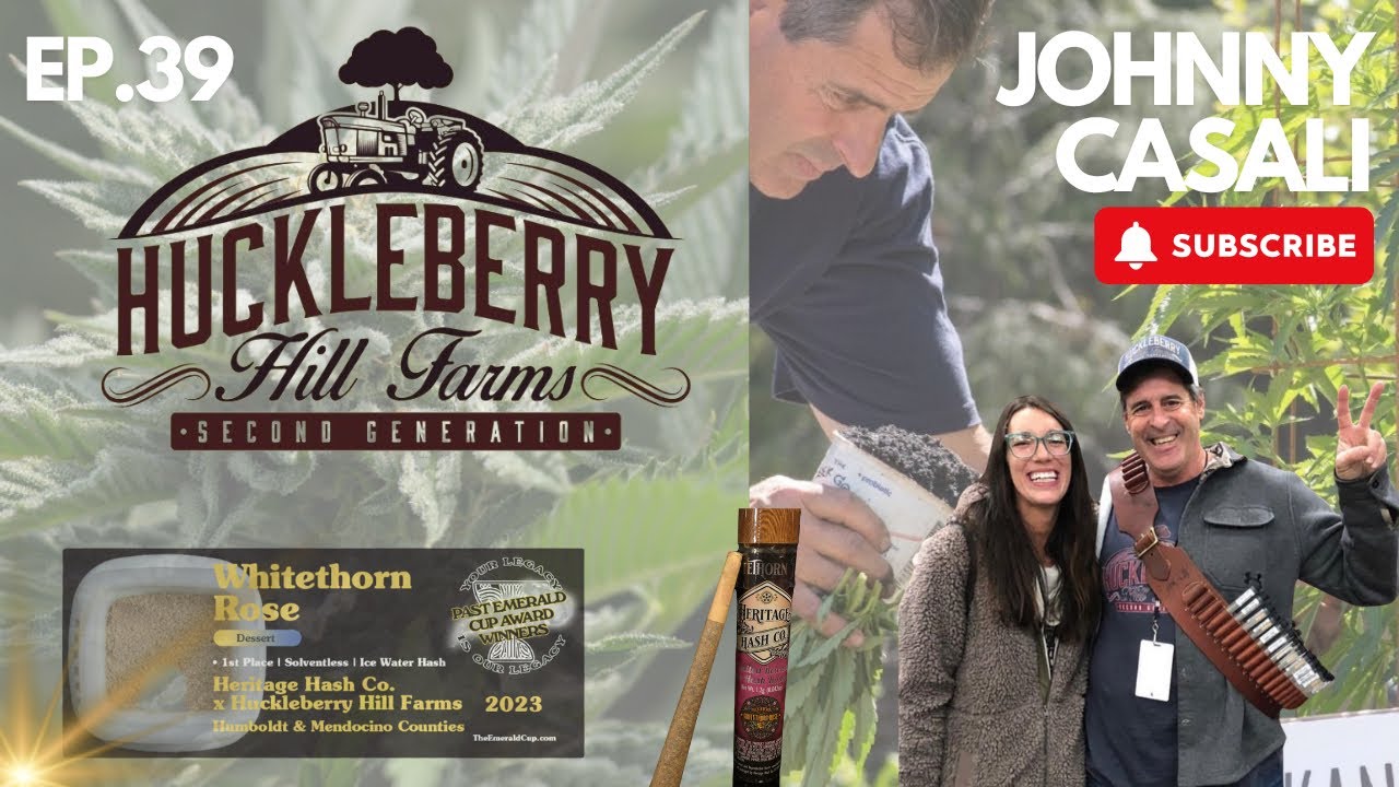 AWARD WINNING WEED| STORY BEHIND WHITE THORN ROSE -EP.39 #shortvideo #podcast #cannabisindustry