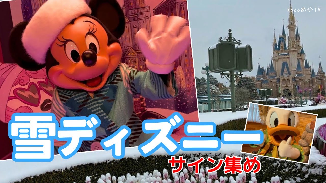 雪ディズニー｜ミニー＆ドナルドとキャラグリでサイン集め【2月ディズニーVlog】