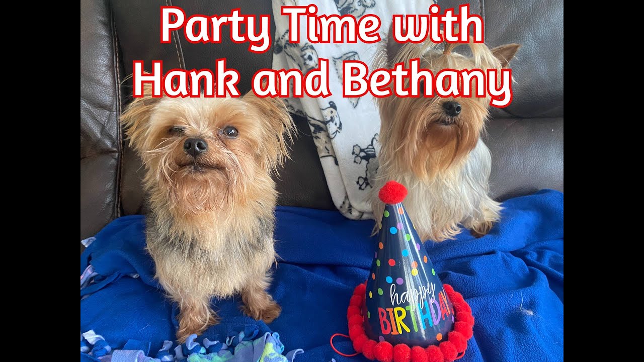 We Are Celebrating A Triple Birthday / Hank / Bethany / Tony