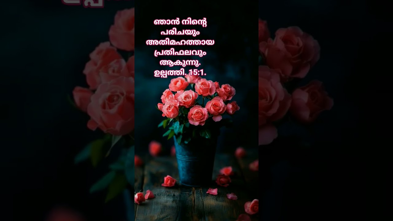 JESUS 🙏#walkinspiritoftheholyspirit #daivavachanam