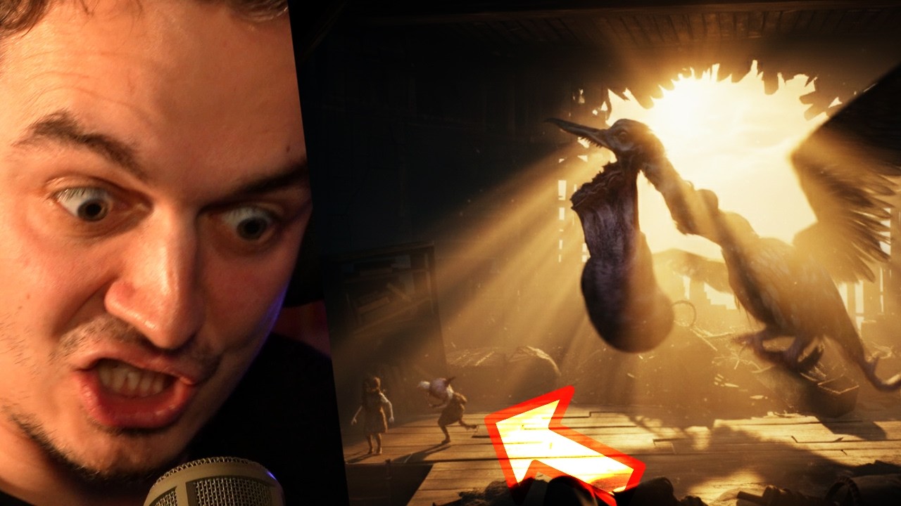 Ptačí Bitka🐔-2-Reanimal