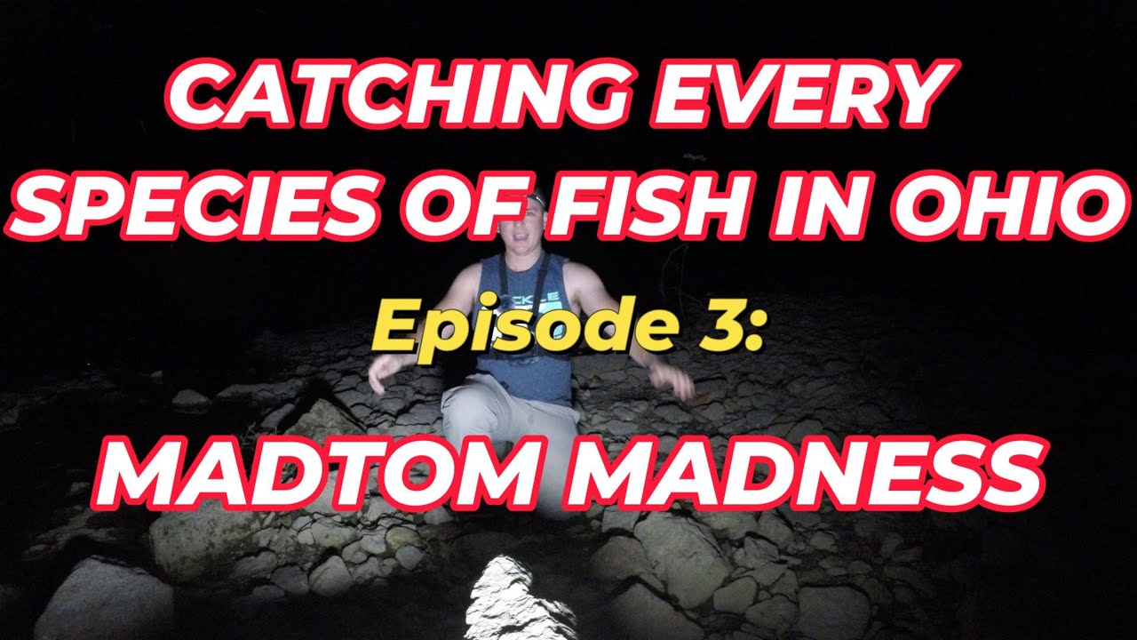 Catching EVERY Fish Species In Ohio - Episode 3: Madtom Madness!
