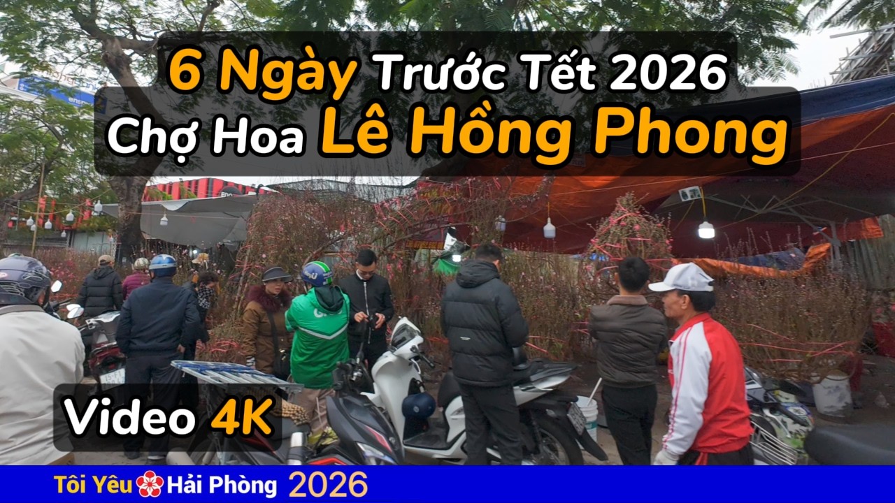 Chợ hoa đường Lê Hồng Phong 6 ngày trước Tết 2026 ở Hải Phòng