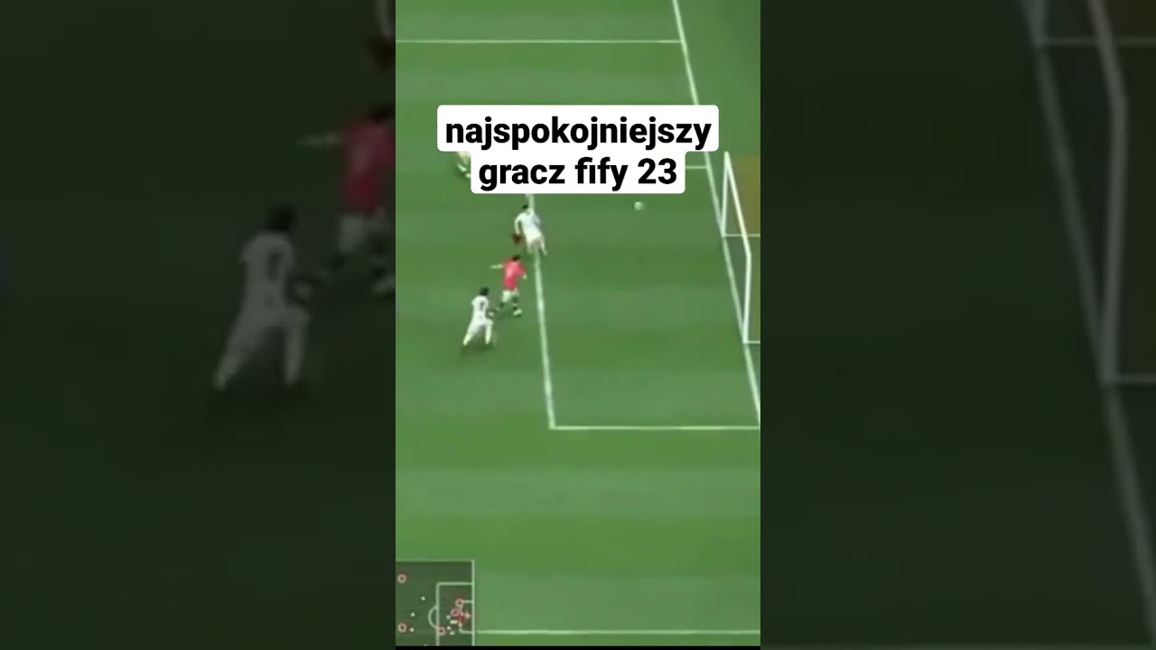 najspokojniejszy gracz fify 23 (xFlaShx) #shorts