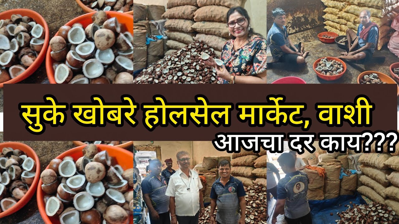 😍सुके खोबरे होलसेल मार्केट वाशी Wholesale Dry Coconut 🥥Market |APMC Market Vashi खोबरे आजचा दर काय?
