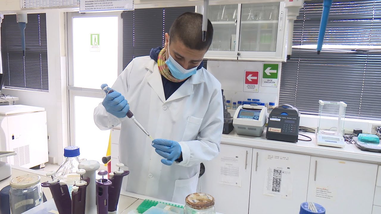 Científicas investigan veneno de escorpión azul para tratar el cáncer