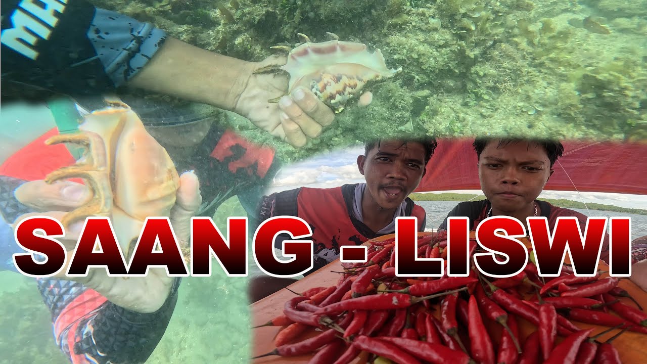 SAANG LISWI UG SILI! -PAGKALAMI KAONA!
