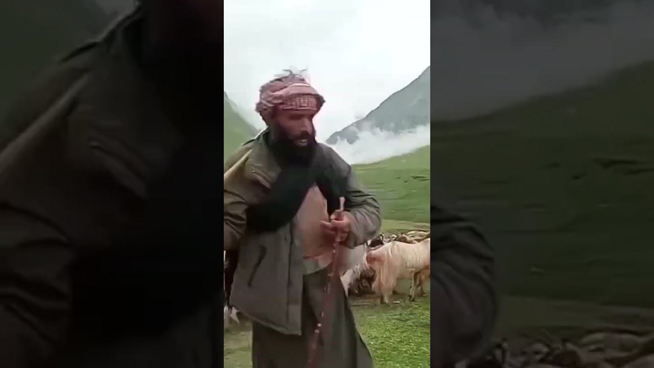 Baboon Valley – A Hidden Paradise of Northern Pakistan 🌿🏔️ 
