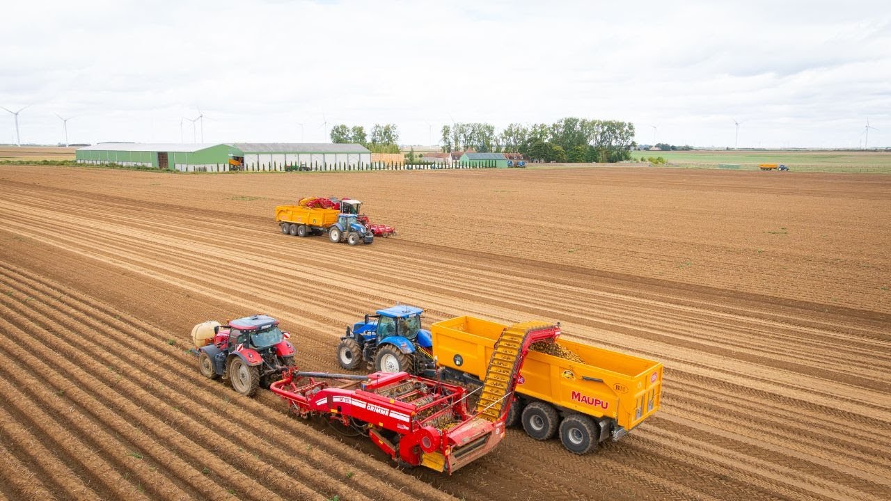 Arrachage des Pommes de terre 2025 🥔 I Ferme de Mésangeon
