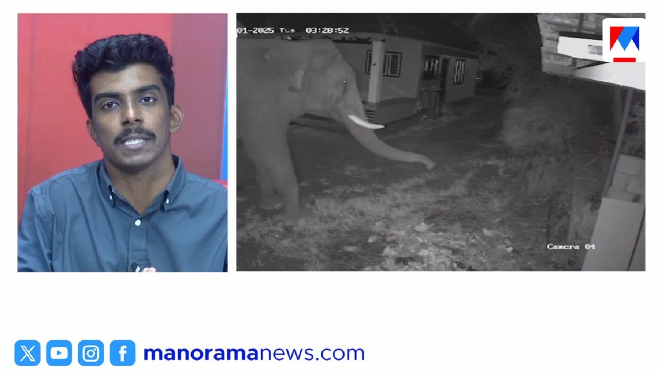 അട്ടപ്പാടിയില്‍  ഉമ്മറപ്പടിയില്‍ കാട്ടാന; ജാഗ്രത പാലിക്കണമെന്ന് വനപാലകര്‍ | Attappadi   elephant