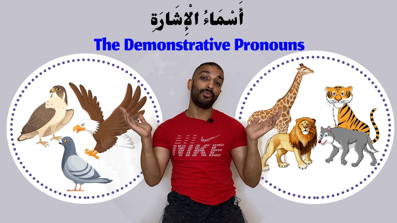 (59)أسماء الإشارة والطيور والحيوانات || وحدة عالم الحيوان || الجزء الثالث ll سلسلة كنوز
